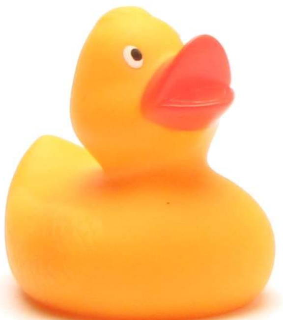 Rubber Duck